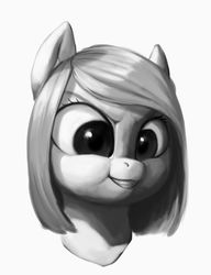 Size: 1024x1333 | Tagged: safe, artist:eerinless, oc, oc only, earth pony, pony, bust, monochrome, puffy cheeks, simple background, solo, white background