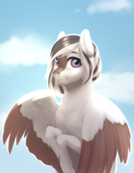 Size: 805x1037 | Tagged: safe, artist:eerinless, oc, oc only, pegasus, pony, cloud, sky, solo