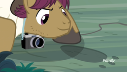 Size: 1920x1080 | Tagged: safe, screencap, snap shutter, earth pony, pony, g4, the last crusade, camera, clothes, crouching, discovery family logo, footprint, male, narrowed eyes, shirt, smiling, stallion