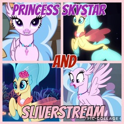 Size: 1800x1800 | Tagged: safe, artist:kittygemamazon23, edit, edited screencap, screencap, princess skystar, silverstream, classical hippogriff, hippogriff, seapony (g4), g4, my little pony: the movie, art trade, basket, bioluminescent, blue eyes, blushing, bubble, collage, coral, cousins, cropped, cute, diastreamies, dorsal fin, female, fin, fin wings, fins, fish tail, floppy ears, flower, flower in hair, flowing mane, flowing tail, freckles, glowing, grin, happy, jewelry, misspelling, necklace, ocean, open mouth, pearl necklace, seaquestria, seashell, seaweed, shell, skyabetes, smiling, swimming, tail, underwater, water, wings