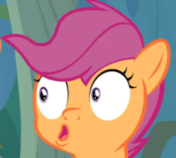 Size: 569x509 | Tagged: safe, screencap, scootaloo, pony, g4, the last crusade, cropped, faic, meme, special eyes