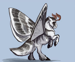 Size: 1024x851 | Tagged: safe, artist:eerinless, oc, oc only, oc:todd, mothpony, original species, blue background, coat markings, floppy ears, looking at you, male, rearing, simple background, solo, spread wings, stallion, unshorn fetlocks, wings