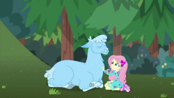 Size: 1280x720 | Tagged: safe, screencap, fluttershy, human, llama, equestria girls, equestria girls series, g4, wake up!, spoiler:choose your own ending (season 2), spoiler:eqg series (season 2), animated, female, shoes, sneakers, sound, spit, spitting, wake up!: rainbow dash, webm