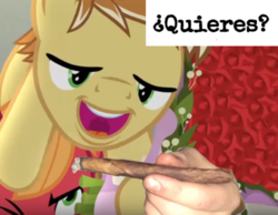 Size: 1115x867 | Tagged: safe, edit, edited screencap, screencap, big macintosh, feather bangs, g4, hard to say anything, caption, cropped, drugs, image macro, male, marijuana, meme, spanish, text, ¿quieres?