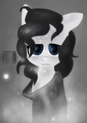 Size: 407x575 | Tagged: safe, artist:lucas47-46, oc, oc only, oc:bleached hibiscus, earth pony, pony, clothes, female, mare, monochrome, solo