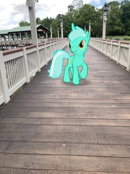 Size: 3024x4032 | Tagged: safe, gameloft, photographer:undeadponysoldier, lyra heartstrings, pony, unicorn, g4, augmented reality, bridge, deck, disney springs, disney world, downtown disney, female, florida, irl, mare, orlando, photo, ponies in real life, solo