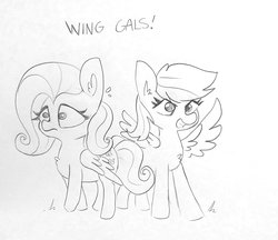 Size: 1599x1384 | Tagged: safe, artist:tjpones, fluttershy, rainbow dash, pegasus, pony, g4, dialogue, duo, ear fluff, female, grayscale, lineart, mare, monochrome, pencil drawing, simple background, spread wings, traditional art, white background, wings