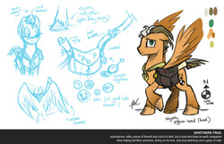 Size: 1280x823 | Tagged: safe, artist:hexfloog, oc, oc only, oc:northern trail, pegasus, pony, reference sheet, solo