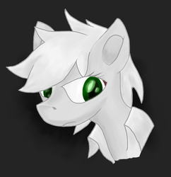 Size: 800x828 | Tagged: safe, artist:lucas47-46, oc, oc only, oc:terra normal, pony, bust, disembodied head, female, mare, solo