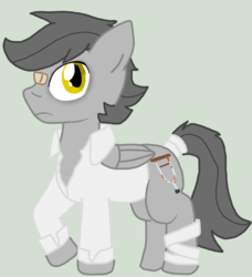 Size: 1033x1133 | Tagged: safe, artist:lucas47-46, oc, oc only, oc:brever, pegasus, pony, bandage, clothes, male, shirt, solo, stallion, tail wrap