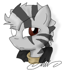 Size: 354x393 | Tagged: safe, artist:lucas47-46, oc, oc only, pony, zebra, bust, disembodied head, male, solo