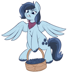 Size: 826x900 | Tagged: safe, artist:lulubell, oc, oc only, oc:berry patch, pegasus, pony, basket, bipedal, blueberry, chest fluff, female, food, gritted teeth, hoof hold, lifting, mare, pegasus oc, simple background, solo, spread wings, transparent background, unshorn fetlocks, wings