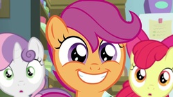 Size: 1920x1080 | Tagged: safe, screencap, apple bloom, scootaloo, sweetie belle, earth pony, pegasus, pony, unicorn, g4, the last crusade, cute, cutealoo, cutie mark crusaders, elated, female, happy, smiling, surprised, trio