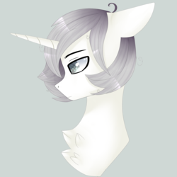 Size: 5000x5000 | Tagged: safe, artist:tayzipumpqueen, oc, oc only, oc:whisper, pony, unicorn, bust, chest fluff, commission, floppy ears, lidded eyes, male, short mane, simple background, solo, stallion