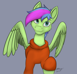 Size: 2141x2043 | Tagged: safe, artist:btbunny, derpibooru exclusive, oc, oc:gusty breeze, pegasus, pony, clothes, gray background, high res, male, multicolored hair, red sweater, simple background, wings