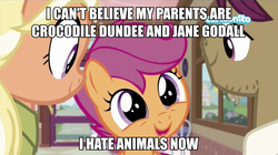 Size: 960x539 | Tagged: safe, edit, edited screencap, screencap, mane allgood, scootaloo, snap shutter, earth pony, pegasus, pony, g4, the last crusade, caption, cartoonito logo, clothes, cutie mark, family, female, filly, foal, image macro, male, mare, misspelling, shirt, stallion, text, the cmc's cutie marks, trio