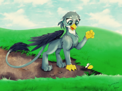 Size: 2000x1500 | Tagged: safe, artist:mmeloman, artist:mysteriousshine, gabby, butterfly, griffon, g4, catbird, chest fluff, cloud, collaboration, cute, eyes on the prize, female, field, gabbybetes, signature, sky