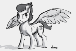Size: 1504x1009 | Tagged: safe, artist:kam, rumble, pegasus, pony, g4, gray background, grayscale, male, monochrome, older, older rumble, simple background, sketch, solo, stallion, wings