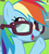 Size: 648x720 | Tagged: safe, screencap, rainbow dash, pegasus, pony, g4, my little pony: friendship is magic, newbie dash, season 6, adorkable, behaving like twilight sparkle, bust, cropped, cute, dashabetes, dork, egghead, egghead dash, female, glasses, mare, nerd, open mouth, rainbow dork, raised hoof, reading rainboom, smiling, solo, talking