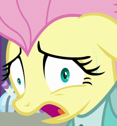 Size: 814x880 | Tagged: safe, screencap, fluttershy, pegasus, pony, fake it 'til you make it, g4, season 8, alternate hairstyle, close-up, clothes, cropped, derp, faic, female, floppy ears, fluttershy is best facemaker, mare, open mouth, severeshy, solo, sweat, wide eyes