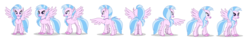 Size: 8000x1250 | Tagged: safe, artist:twilight-twinkle, silverstream, classical hippogriff, hippogriff, g4, female, rotation, simple background, transparent background, turnaround
