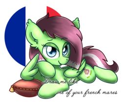 Size: 571x478 | Tagged: safe, artist:sugar morning, oc, oc only, oc:watermelon success, pony, french flag, pillow