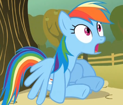 Size: 396x337 | Tagged: safe, screencap, rainbow dash, pegasus, pony, fall weather friends, g4, cropped, female, mare, solo, tree