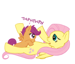 Size: 504x432 | Tagged: artist needed, safe, fluttershy, scootaloo, pegasus, pony, g4, belly, lying down, on back, raspberry, simple background, transparent background, tummy buzz