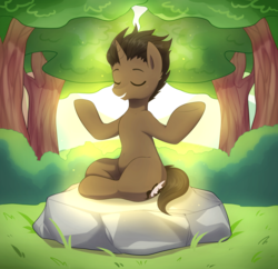 Size: 3300x3200 | Tagged: safe, artist:maren, oc, oc only, oc:saffronic shadow, pony, unicorn, eyes closed, forest, high res, hooves, lotus position, male, meditating, rock, solo, tree, unicorn oc