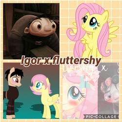 Size: 1024x1024 | Tagged: safe, artist:noreencreatesstuff, artist:paintgreencolor19, artist:sunriseazzurra2004, fluttershy, pony, equestria girls, g4, art trade, collage, crossover, crossover shipping, floral head wreath, flower, igor, ponified, shipping