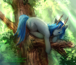 Size: 2600x2210 | Tagged: safe, artist:elzafox, pony, unicorn, antlers, crepuscular rays, female, forest, high res, mare, solo, tree, tree branch, watermark
