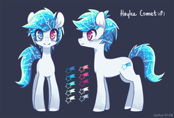 Size: 1000x675 | Tagged: safe, artist:jopiter, oc, oc only, oc:haylee, pony, heterochromia, male, reference sheet, solo