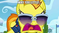 Size: 400x225 | Tagged: safe, artist:jawsandgumballfan24, edit, edited screencap, screencap, spitfire, pegasus, pony, g4, the washouts (episode), caption, homer simpson, image macro, male, text, the simpsons, why you little