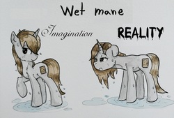 Size: 5109x3453 | Tagged: safe, artist:lightisanasshole, oc, oc:dorm pony, pony, unicorn, bedroom eyes, blushing, comic, dripping, expectation vs reality, female, funny, imagination, looking at you, painting, raised hoof, reality, reality ensues, reality sucks, sexy, solo, text, traditional art, water, watercolor painting, wet, wet mane