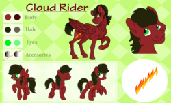 Size: 1500x908 | Tagged: safe, artist:euspuche, oc, oc:cloud rider, pegasus, pony, g4, animated, cute, frame by frame, reference sheet, smiling, vector