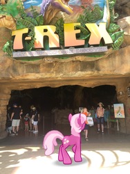 Size: 3024x4032 | Tagged: safe, gameloft, photographer:undeadponysoldier, cheerilee, human, pony, g4, augmented reality, cafe, disney springs, disney world, downtown disney, florida, irl, irl human, orlando, photo, ponies in real life, restaurant, sign, t-rex cafe