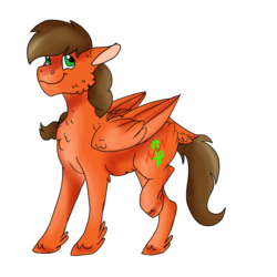 Size: 2000x2000 | Tagged: safe, artist:euspuche, oc, oc:solar chaser, pegasus, pony, chest fluff, fluffy, high res, looking at you, simple background, smiling, transparent background
