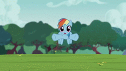 Size: 1920x1080 | Tagged: safe, screencap, rainbow dash, pegasus, pony, g4, animated, cropped, cute, dashabetes, female, flying, flying towards you, foal house, full house, mare, no sound, official content, solo, tree, webm