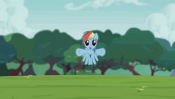 Size: 1280x720 | Tagged: safe, screencap, rainbow dash, pegasus, pony, g4, animated, cropped, cute, dashabetes, female, flying, flying towards you, foal house, full house, gif, it's coming right at us, mare, official content, solo, tree