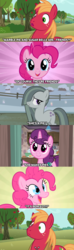 Size: 1280x4320 | Tagged: safe, edit, edited screencap, screencap, big macintosh, marble pie, pinkie pie, sugar belle, earth pony, pony, a friend in deed, g4, hard to say anything, hearthbreakers, no second prances, party of one, awkward, caption, comic, everything went better than expected, friendship, friendshipper on deck, friendshipping, pinkie logic, screencap comic, shocked, shocked expression, silence, speechless, stunned, surprised, unexpected, what a twist