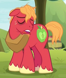 Size: 620x729 | Tagged: safe, screencap, big macintosh, earth pony, pony, g4, going to seed, bags under eyes, cropped, eyes closed, frown, male, messy mane, sleepy, solo, stallion, tired