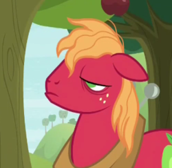 Size: 293x285 | Tagged: safe, screencap, big macintosh, pony, g4, going to seed, bags under eyes, cropped, male, messy mane, mid-blink screencap, solo, stallion, sweet apple acres