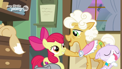 Size: 1600x900 | Tagged: safe, screencap, apple bloom, goldie delicious, cat, earth pony, pony, g4, going to seed, cheek squish, discovery family logo, drawer, female, filly, foal, goldie delicious' cats, hoof on cheek, indoors, mare, raised hoof, squishy cheeks, window