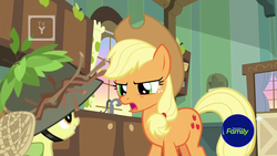 Size: 1600x900 | Tagged: safe, screencap, apple bloom, applejack, earth pony, pony, g4, going to seed, apple sisters, discovery family logo, door, duo, female, filly, foal, helmet, indoors, kitchen, leaves, mare, net, sink, stern, sticks, tv rating, tv-y, window