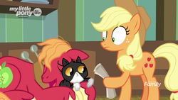 Size: 1600x900 | Tagged: safe, screencap, applejack, big macintosh, cat, earth pony, pony, g4, going to seed, dexterous hooves, discovery family logo, female, goldie delicious' cats, hoof hold, male, mare, messy mane, scroll, stallion, tuxedo cat