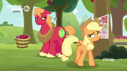 Size: 1600x900 | Tagged: safe, screencap, applejack, big macintosh, earth pony, pony, g4, going to seed, apple, apple tree, big macintosh is not amused, brother and sister, bucket, discovery family logo, duo, female, food, male, mare, sad face, schedule, siblings, stallion, tired, tree, unamused