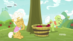 Size: 1600x900 | Tagged: safe, screencap, goldie delicious, granny smith, earth pony, pony, g4, going to seed, apple, apple tree, bucket, duo, female, food, laughing, mare, tail bun, tree
