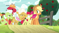 Size: 1600x900 | Tagged: safe, screencap, apple bloom, applejack, big macintosh, goldie delicious, granny smith, earth pony, pony, g4, going to seed, apple, apple family, apple tree, discovery family logo, female, fence, filly, foal, food, male, mare, my little pony logo, raised hoof, road, stallion, tree