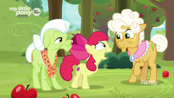 Size: 1600x900 | Tagged: safe, screencap, apple bloom, goldie delicious, granny smith, earth pony, pony, g4, going to seed, apple, apple tree, discovery family logo, excited, female, filly, foal, food, mare, my little pony logo, outdoors, smiling, tree, trio