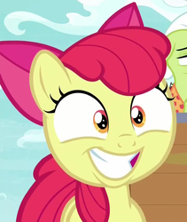 Size: 779x925 | Tagged: safe, screencap, apple bloom, pony, g4, going to seed, cropped, excited, faic, female, smiling, solo, teeth, wide eyes